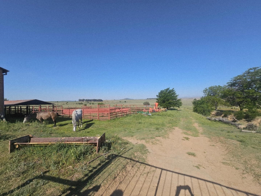 17 Bedroom Property for Sale in Ladybrand Free State